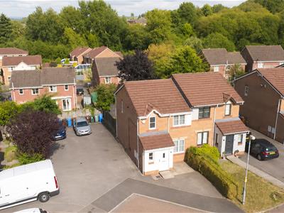 Picture 20